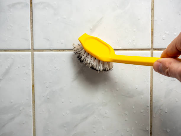 Best Fast Mold Removal  in Lauderdale Lakes, FL