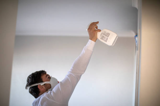 Best Toxic Mold Removal  in Lauderdale Lakes, FL