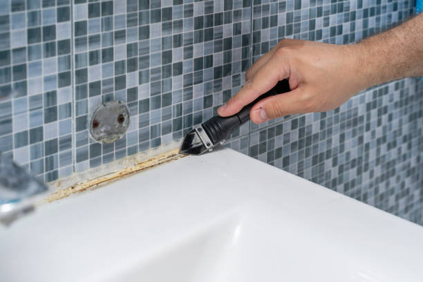 Lauderdale Lakes, FL Mold Removal Company